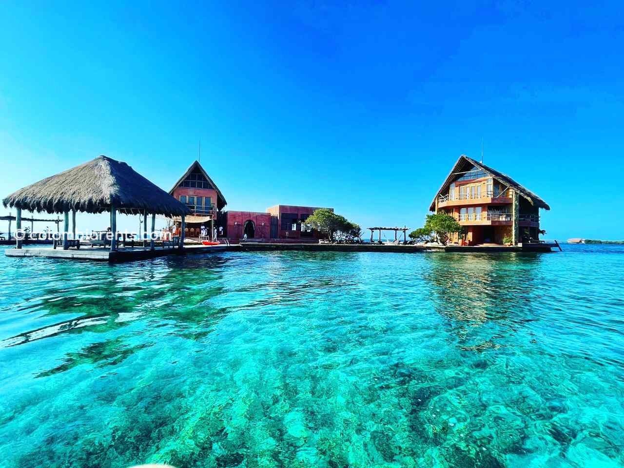 4 islas & plankton 2