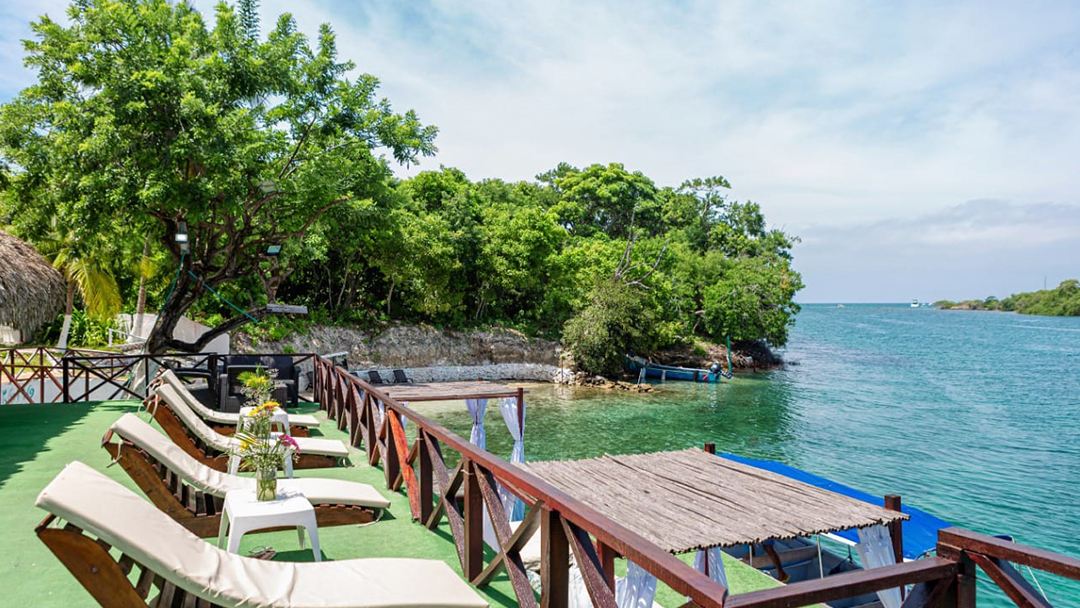 4 islas & plankton 3