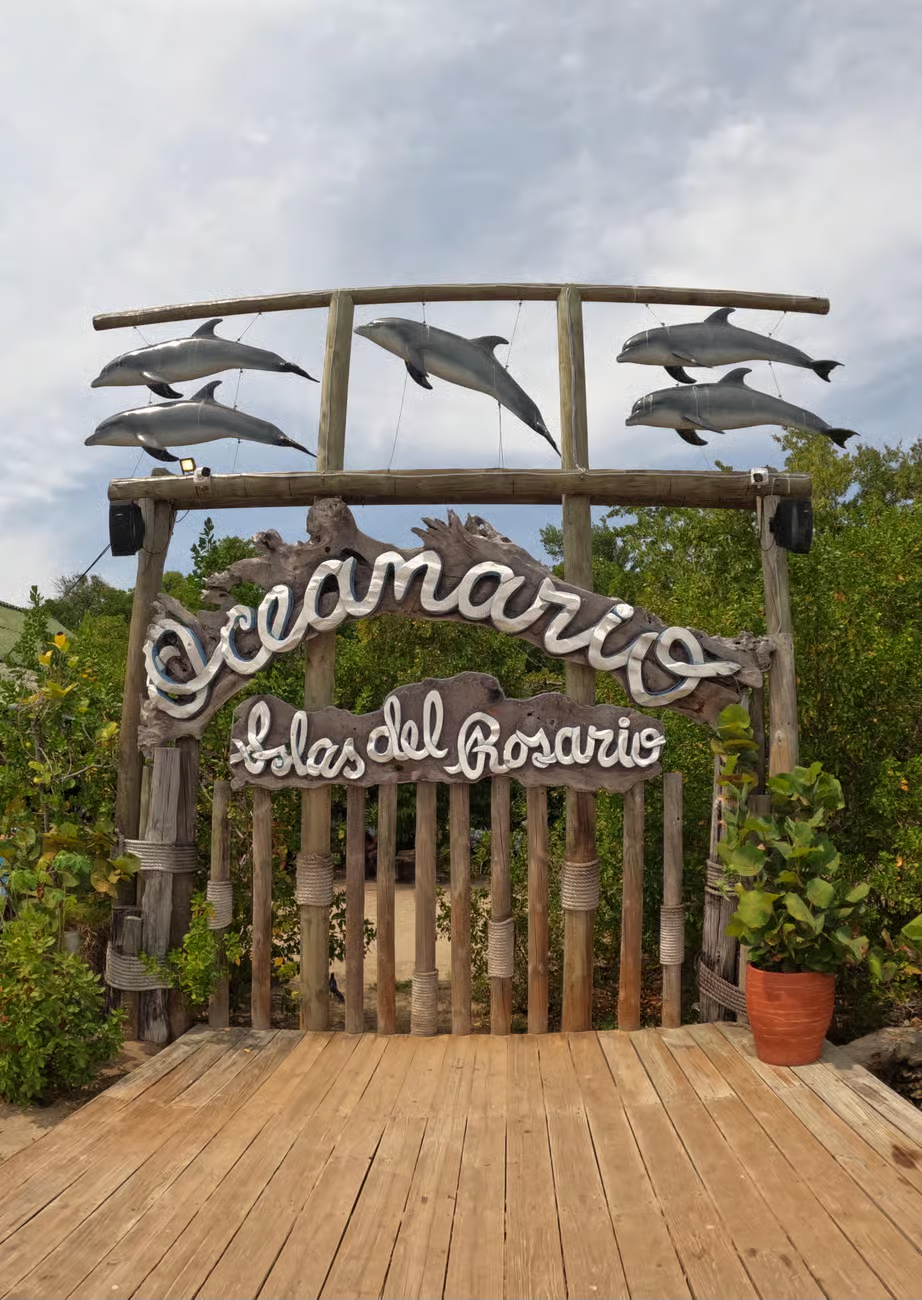 playa-blanca-isla-rosario-4